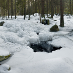 2018_03_01_panorama_10_ef_upr_1ev_retus_ps