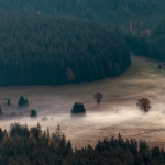 Šumava