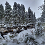 Sumava_01