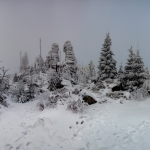 Sumava_01