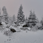 2023_01_panorama_17_ef_upr_ps