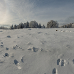 2023_01_panorama_23_ef_upr_ps