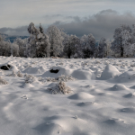 2023_01_panorama_25_ef_upr_ps_120_40